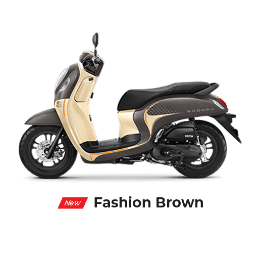 scoopy fashion brown